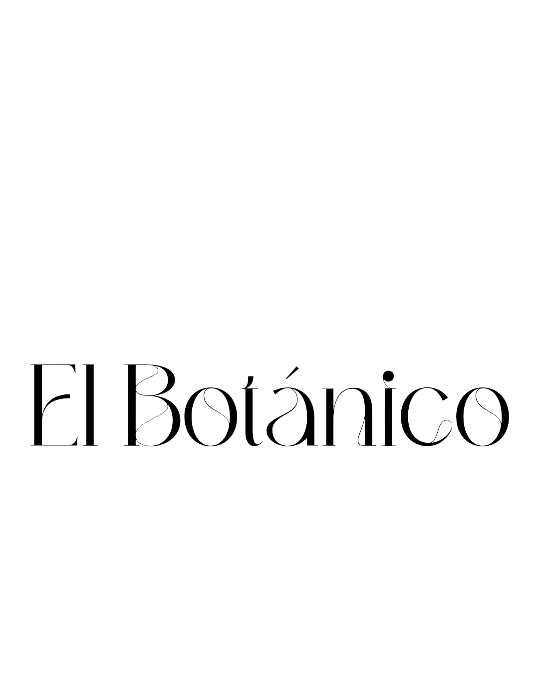 Photoroom-20260309_211851